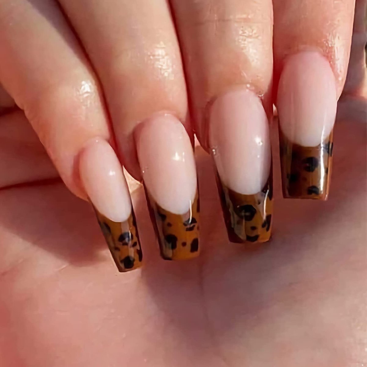 Press On Nails Brown French Glossy Coffin Leopard Nail Kit - TGC Boutique - Press On Nails