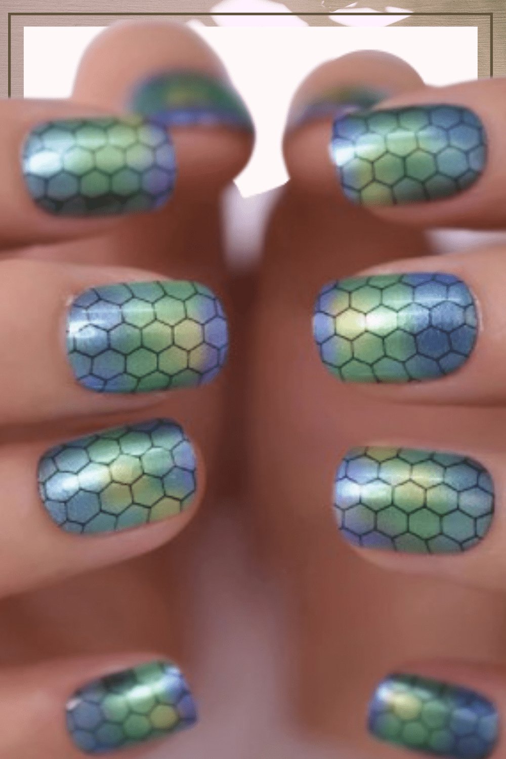 Press On Nails Snaik Pattern Blue & Green Ombre Round Tip Nail Kit - TGC Boutique - Press On Nails