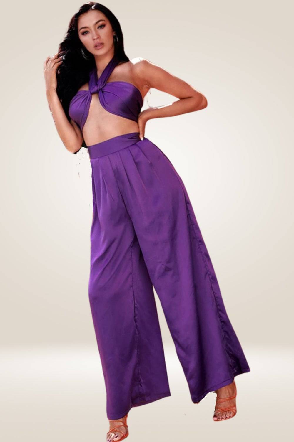 Purple Two Piece Pants Set - TGC Boutique - 2 Piece Set