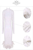Sequins Feather Detailed Bodycon Mini Dress