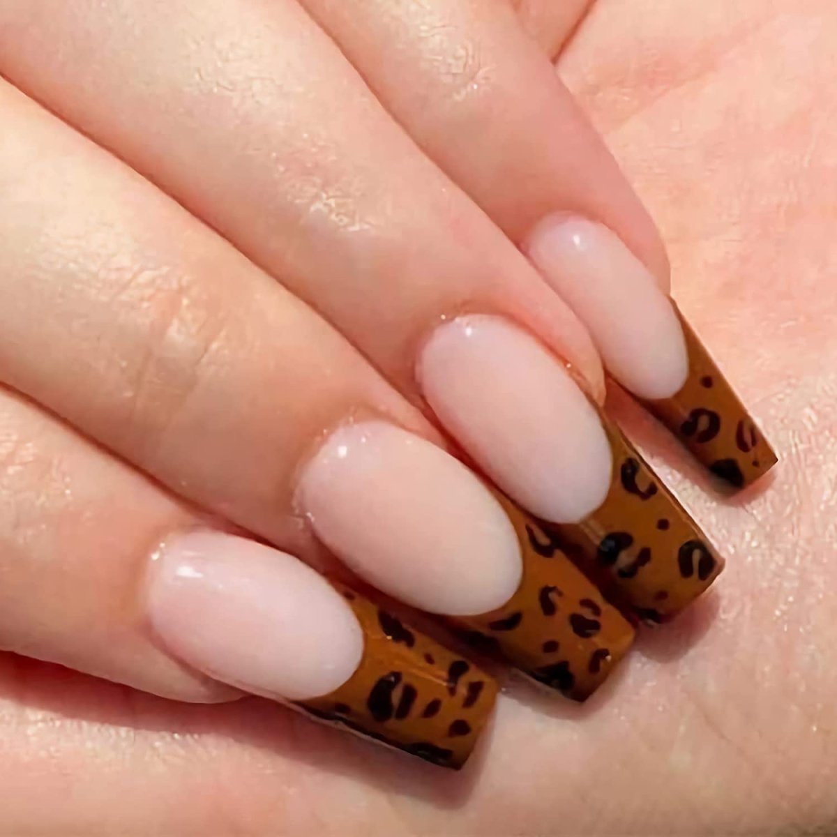 Press On Nails Brown French Glossy Coffin Leopard Nail Kit - TGC Boutique - Press On Nails